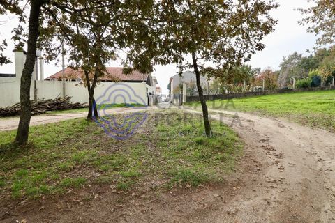 Terra a Baiao, Porto, Baiao - € 50.000 | Ref: 149561 - foto 3