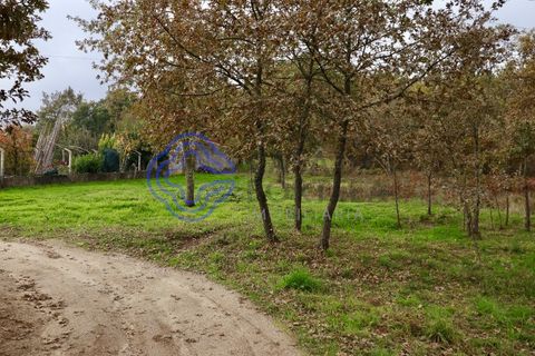 Terra a Baiao, Porto, Baiao - € 50.000 | Ref: 149561 - foto 5