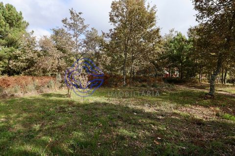 Terra a Baiao, Porto, Baiao - € 50.000 | Ref: 149561 - foto 6