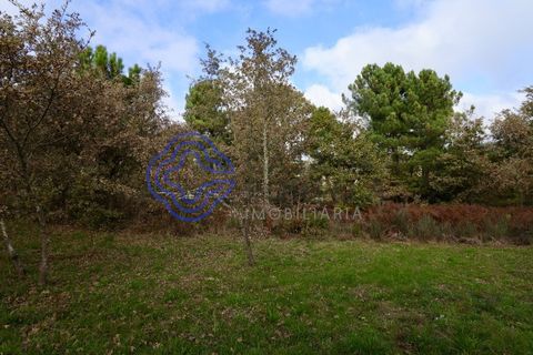 Terra a Baiao, Porto, Baiao - € 50.000 | Ref: 149561 - foto 8