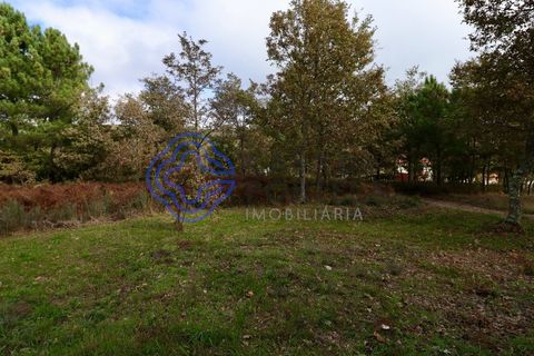 Terra a Baiao, Porto, Baiao - € 50.000 | Ref: 149561 - foto 10