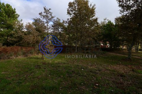 Terra a Baiao, Porto, Baiao - € 50.000 | Ref: 149561 - foto 11