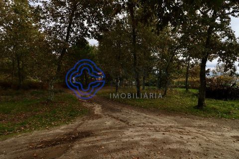 Terra a Baiao, Porto, Baiao - € 50.000 | Ref: 149561 - foto 12