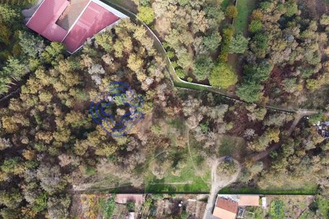 Terra a Baiao, Porto, Baiao - € 50.000 | Ref: 149561 - foto 14