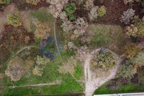 Terra a Baiao, Porto, Baiao - € 50.000 | Ref: 149561 - foto 16