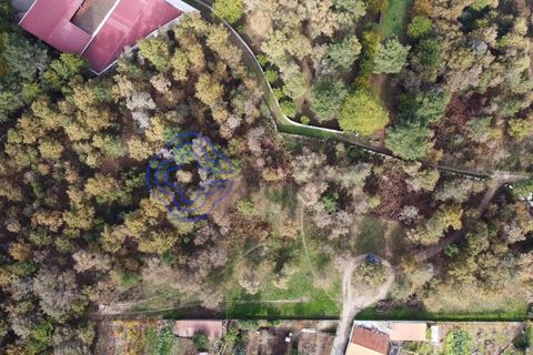 Terra a Baiao, Porto, Baiao - € 50.000 | Ref: 149561 - foto 17