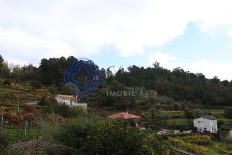 Helårsgrund i Baiao, Porto, Baiao - € 70.000 | Ref: 149551 - foto 1