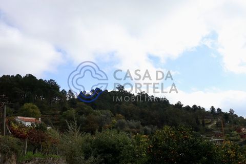 Helårsgrund i Baiao, Porto, Baiao - € 70.000 | Ref: 149551 - foto 3