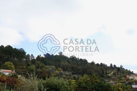 Helårsgrund i Baiao, Porto, Baiao - € 70.000 | Ref: 149551 - foto 4