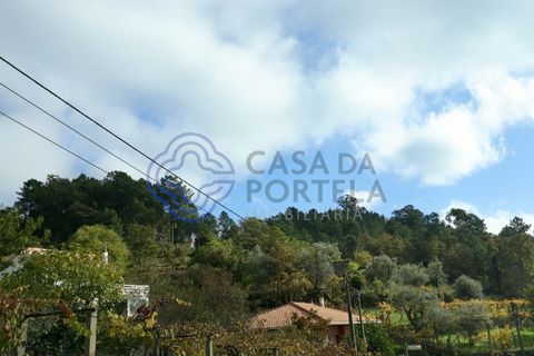 Helårsgrund i Baiao, Porto, Baiao - € 70.000 | Ref: 149551 - foto 5