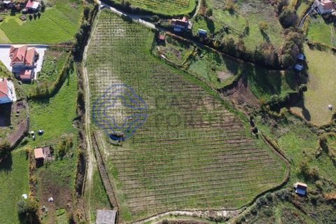 Helårsgrund i Baiao, Porto, Baiao - € 80.000 | Ref: 149431 - foto 3