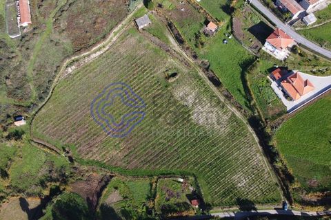 Helårsgrund i Baiao, Porto, Baiao - € 80.000 | Ref: 149431 - foto 4