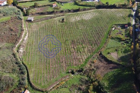 Helårsgrund i Baiao, Porto, Baiao - € 80.000 | Ref: 149431 - foto 5
