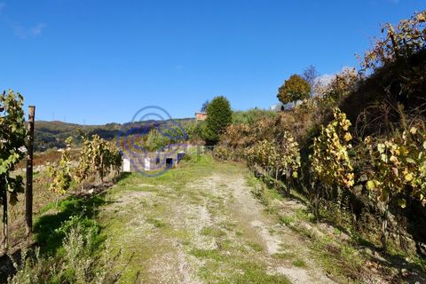 Helårsgrund i Baiao, Porto, Baiao - € 80.000 | Ref: 149431 - foto 7