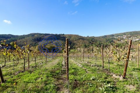 Helårsgrund i Baiao, Porto, Baiao - € 80.000 | Ref: 149431 - foto 8