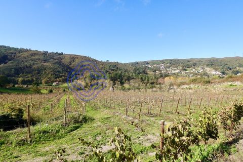 Helårsgrund i Baiao, Porto, Baiao - € 80.000 | Ref: 149431 - foto 9