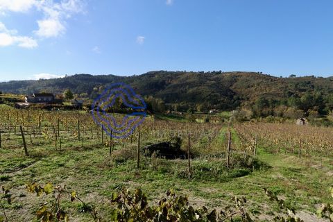 Helårsgrund i Baiao, Porto, Baiao - € 80.000 | Ref: 149431 - foto 10