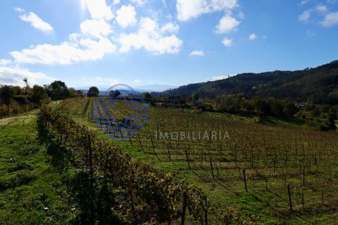 Helårsgrund i Baiao, Porto, Baiao - € 80.000 | Ref: 149431 - foto 11