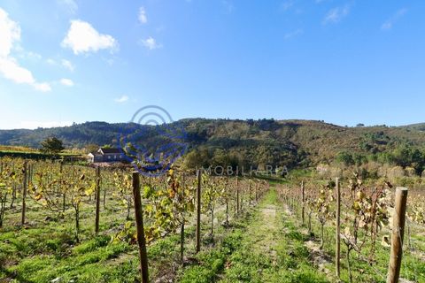 Helårsgrund i Baiao, Porto, Baiao - € 80.000 | Ref: 149431 - foto 12