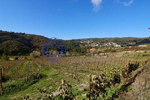 Helårsgrund i Baiao, Porto, Baiao - € 80.000 | Ref: 149431 - foto 13