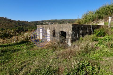 Helårsgrund i Baiao, Porto, Baiao - € 80.000 | Ref: 149431 - foto 14