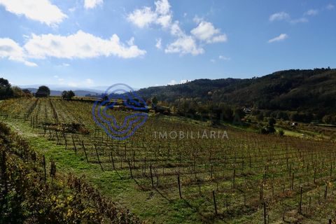 Helårsgrund i Baiao, Porto, Baiao - € 80.000 | Ref: 149431 - foto 15