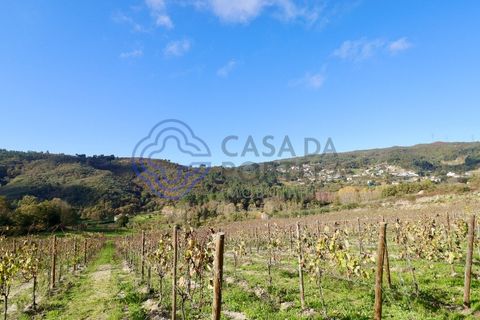 Helårsgrund i Baiao, Porto, Baiao - € 80.000 | Ref: 149431 - foto 16