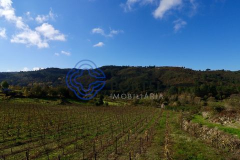 Helårsgrund i Baiao, Porto, Baiao - € 80.000 | Ref: 149431 - foto 17