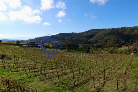 Helårsgrund i Baiao, Porto, Baiao - € 80.000 | Ref: 149431 - foto 18