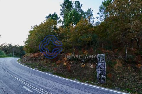 Helårsgrund i Baiao, Porto, Baiao - € 40.000 | Ref: 149521 - foto 3