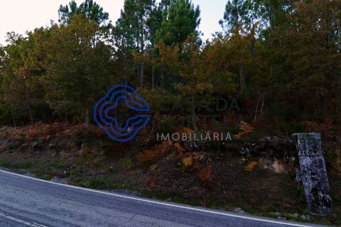 Helårsgrund i Baiao, Porto, Baiao - € 40.000 | Ref: 149521 - foto 4