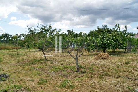 Villa i Castelo Branco, Castelo Branco, Castelo Branco - € 360.000 | Ref: 2997 - foto 25