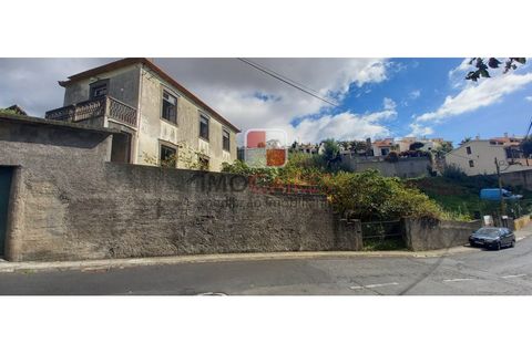Helårsgrund i Sao Roque, Madeira, Sao Roque - € 750.000 | Ref: TER_4423/2022 - foto 1