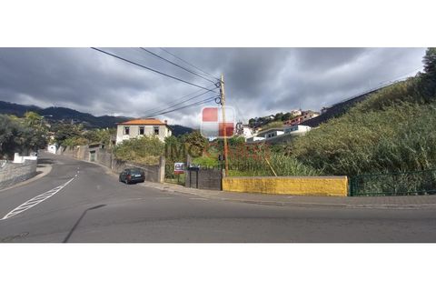Helårsgrund i Sao Roque, Madeira, Sao Roque - € 750.000 | Ref: TER_4423/2022 - foto 2