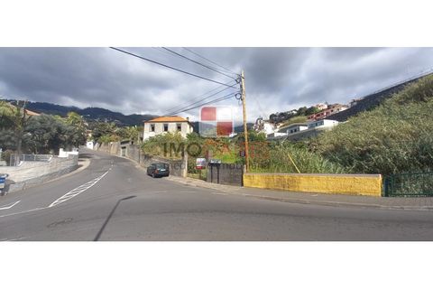 Helårsgrund i Sao Roque, Madeira, Sao Roque - € 750.000 | Ref: TER_4423/2022 - foto 3
