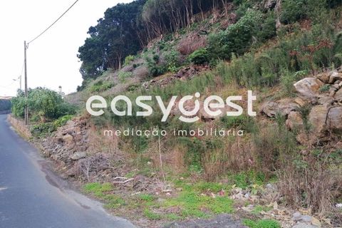 Terra a Biscoitos, Terceira, Biscoitos - € 15.000 | Ref: AZ84907DA - foto 2