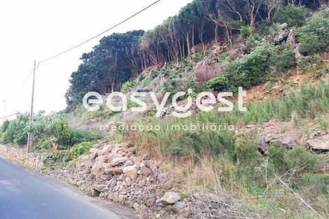 Terra a Biscoitos, Terceira, Biscoitos - € 15.000 | Ref: AZ84907DA - foto 3