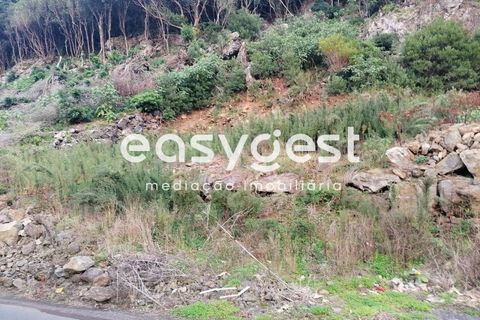 Terra a Biscoitos, Terceira, Biscoitos - € 15.000 | Ref: AZ84907DA - foto 4