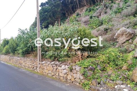 Terra a Biscoitos, Terceira, Biscoitos - € 15.000 | Ref: AZ84907DA - foto 5