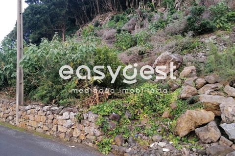Terra a Biscoitos, Terceira, Biscoitos - € 15.000 | Ref: AZ84907DA - foto 6