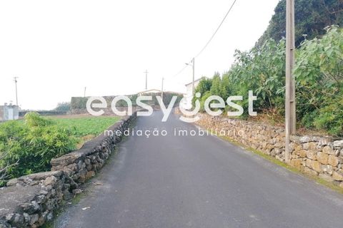 Terra a Biscoitos, Terceira, Biscoitos - € 15.000 | Ref: AZ84907DA - foto 7