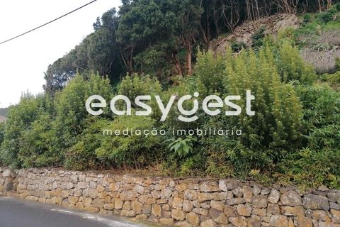 Terra a Biscoitos, Terceira, Biscoitos - € 15.000 | Ref: AZ84907DA - foto 9