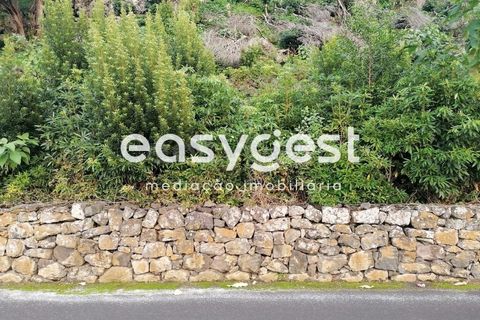 Terra a Biscoitos, Terceira, Biscoitos - € 15.000 | Ref: AZ84907DA - foto 12