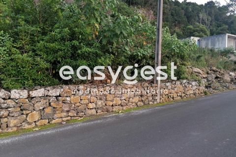 Terra a Biscoitos, Terceira, Biscoitos - € 15.000 | Ref: AZ84907DA - foto 14