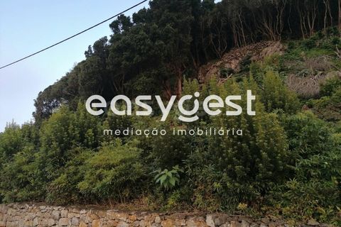 Terra a Biscoitos, Terceira, Biscoitos - € 15.000 | Ref: AZ84907DA - foto 16