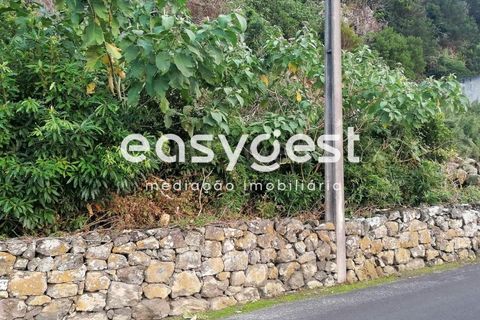 Terra a Biscoitos, Terceira, Biscoitos - € 15.000 | Ref: AZ84907DA - foto 20