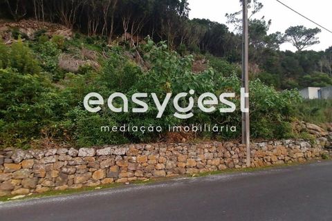 Terra a Biscoitos, Terceira, Biscoitos - € 15.000 | Ref: AZ84907DA - foto 21