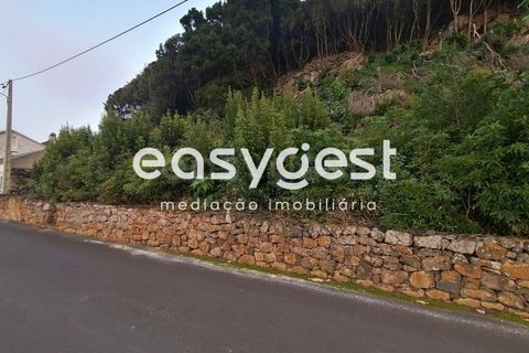 Terra a Biscoitos, Terceira, Biscoitos - € 15.000 | Ref: AZ84907DA - foto 22