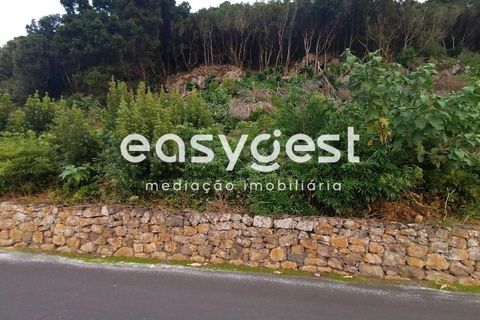 Terra a Biscoitos, Terceira, Biscoitos - € 15.000 | Ref: AZ84907DA - foto 23