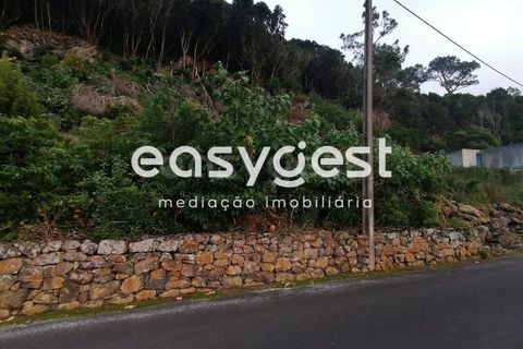 Terra a Biscoitos, Terceira, Biscoitos - € 15.000 | Ref: AZ84907DA - foto 24